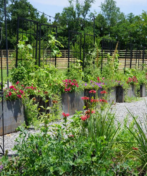 Building a Closed-Loop Garden: Your Guide to a Self-Sustaining Oasis