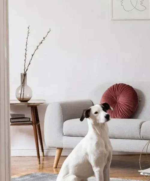 Furniture with Integrated Smart Technology for Charging and Lighting